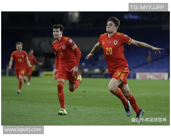 2019年欧洲预选赛土耳其队与法国队激战回顾与精彩瞬间分析