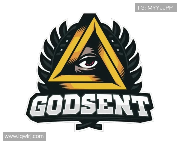 FPX战队在CSGO中的运营策略与战术解析深度剖析